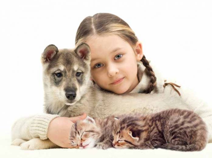 девочка с щенком и котятами